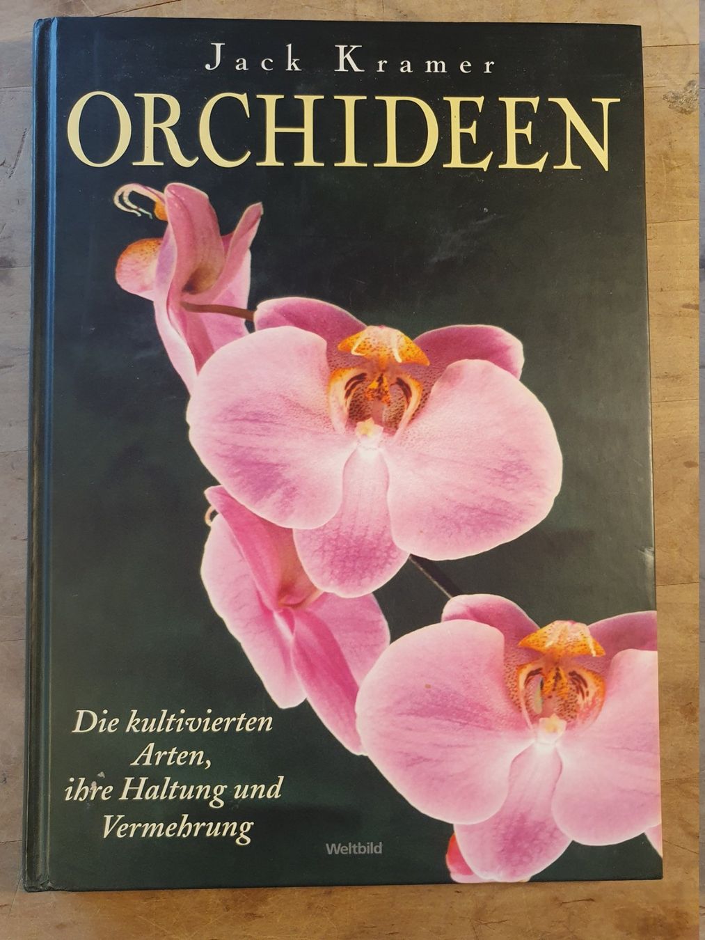 Libri: Orchideen Jack Kramer Weltbild – Usato da Zürich venduto da loosebone