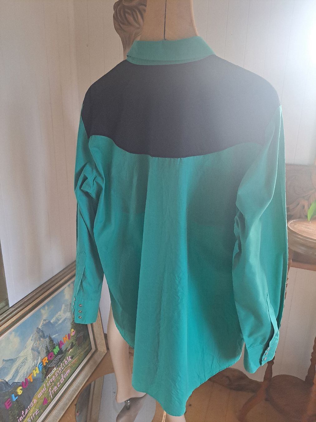 Hemden: ELY DIAMOND Western Hemd Vintage XL 54 Linedance Cowboy – Gebraucht aus Mollis von Fauchi99 4