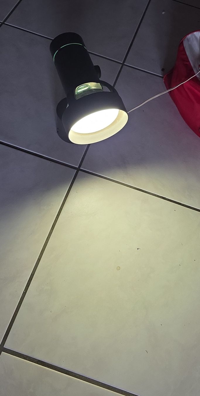 Lampade: Plant light – Usato da Hinwil venduto da Ehretstock8