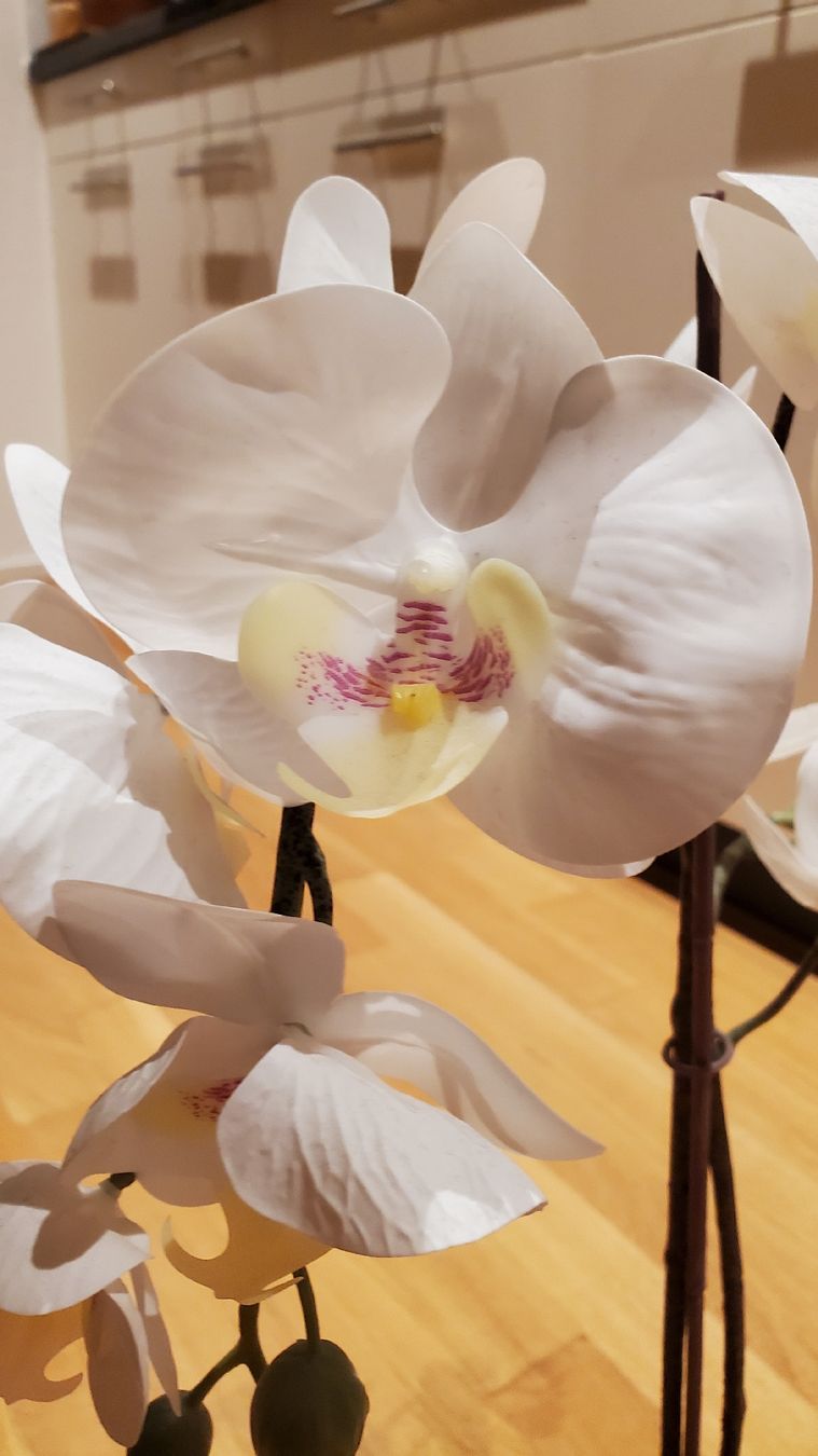 Alle Dekorationen: Künstliche Orchidee weiss mit Steinübertopf – Gebraucht aus Uster von lof_2xmz 3