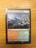 MTG Bewaldete Gebirgsausläufer