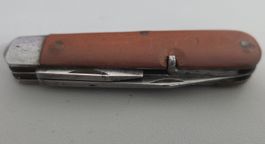 Elsner 40