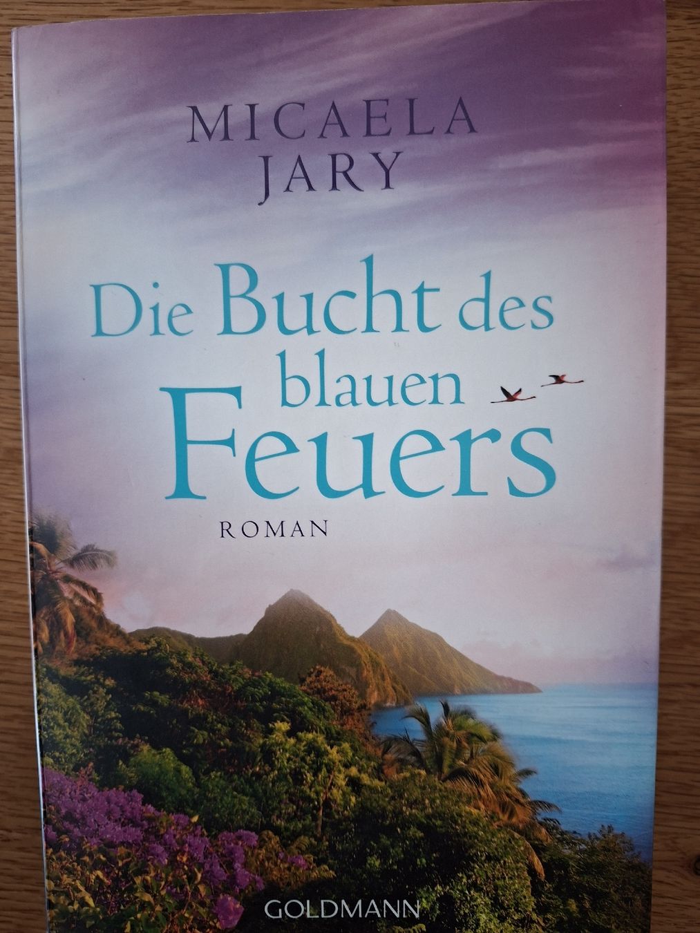 Bücher: Die Bucht des blauen Feuers – Gebraucht aus Appenzell von palme14