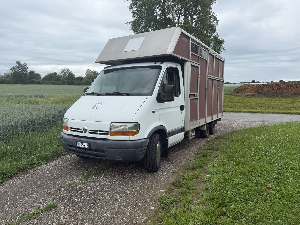 Renault Veicoli commerciali: Pferdetransporter Aufbau Scherz – Usato da Romanshorn venduto da fiber01