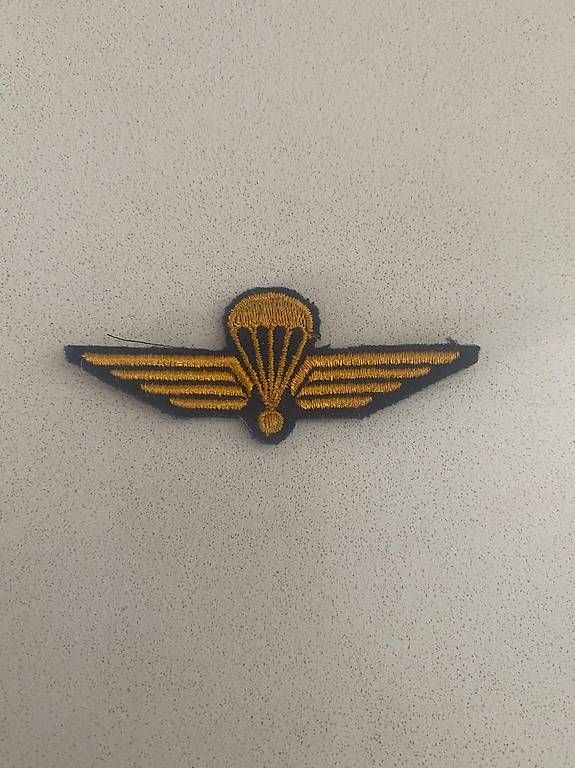 Placchette & Badge: Abzeichen Fallschirm Schweizer Militär – Usato da Winterthur venduto da Etimax