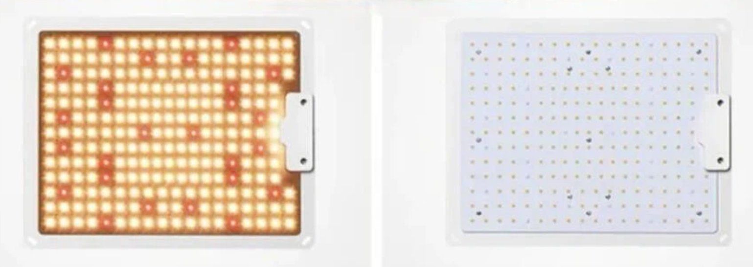 Lampade: Peralux QDB-JT100 Quantum Board LED Grow Light Panel 100Watt – Nuovo e nell'imballaggio originale da Rietheim venduto da PeraLux 5