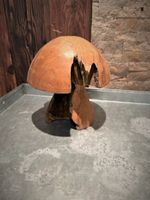 HoLzpiLz