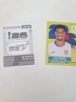 Panini Sticker USA15