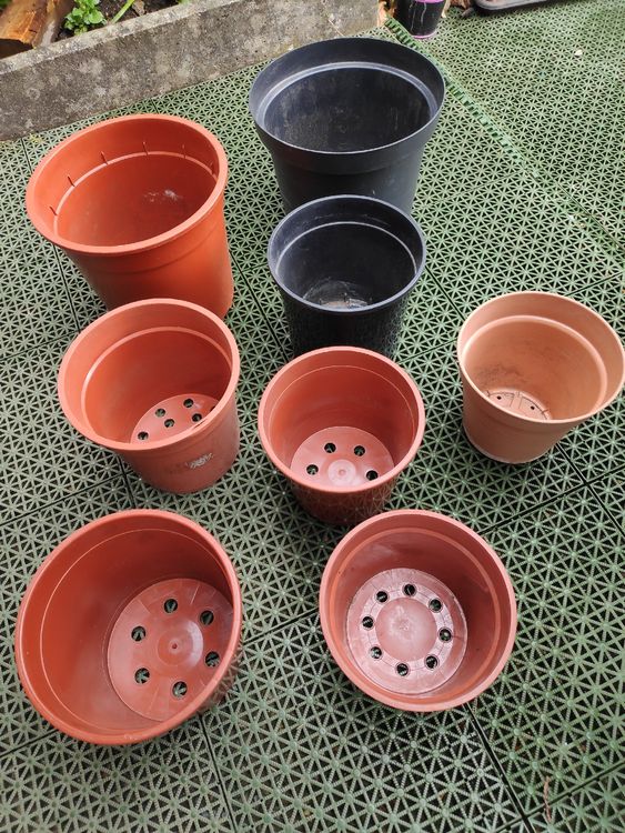 Nooulap Lot De 4 Petits Pots De Fleurs Décoratifs En Plastique Avec Soucoupe De 20,3 Cm Pour Intérieur Et Extérieur Avec Trou De Drainage Et Plateau