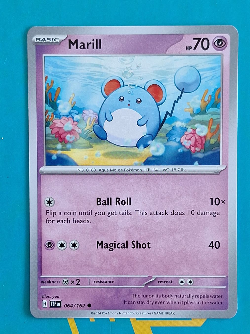 Pokémon Carte collezionabili: Marill - Temporal Forces Pokemon - #7.1 – Usato da Altstätten SG venduto da GGsGameshop