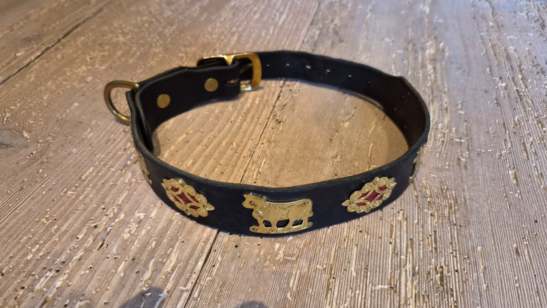 Guinzagli & Collari: Appenzeller Gurt Hundehalsband – Usato da Schwyz venduto da ineichp