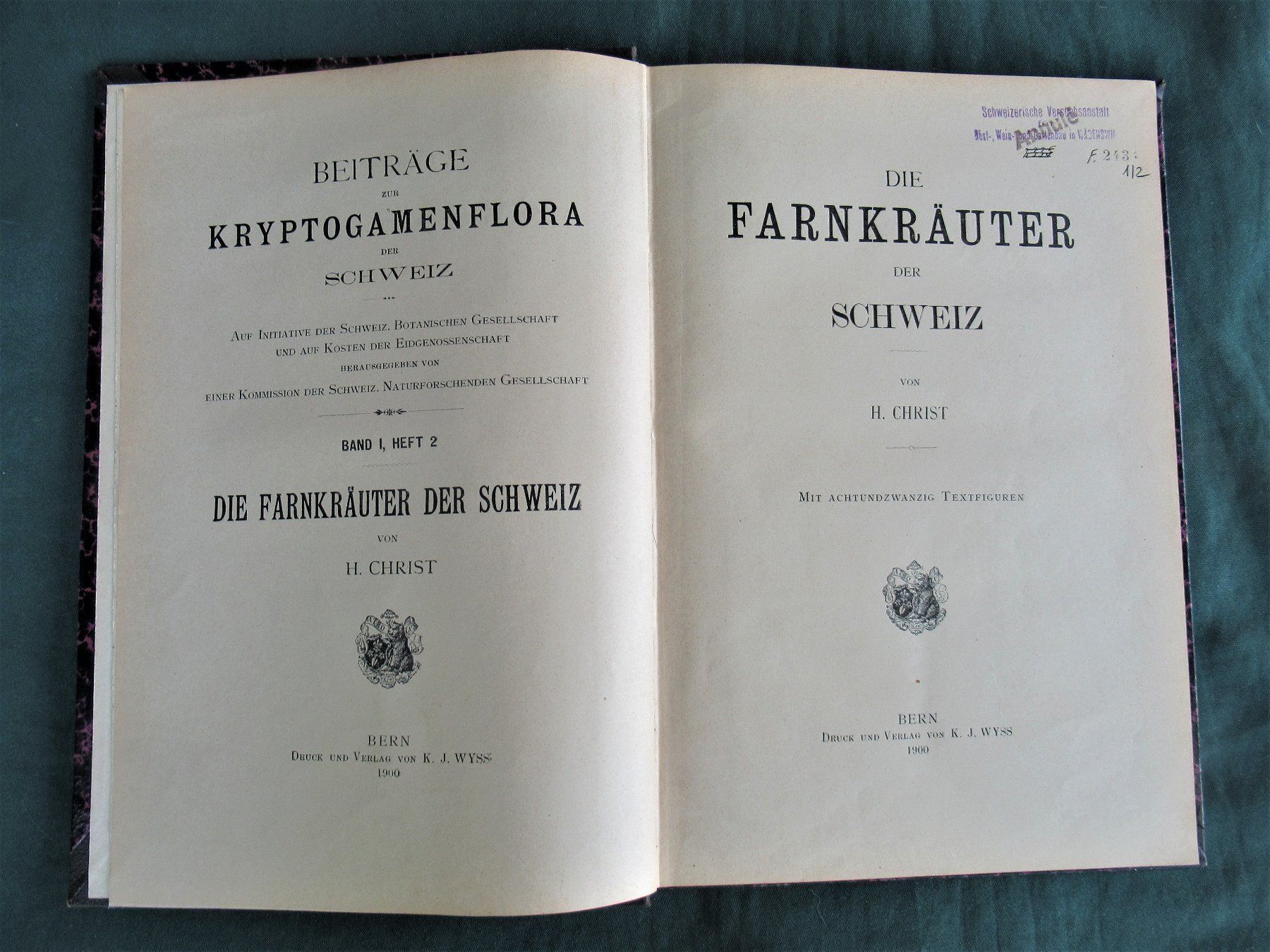 Libri: Farne  Kryptogamen  Farnkräuter – Usato da hedingen venduto da kurattli01