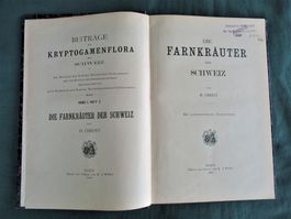 Farne  Kryptogamen  Farnkräuter