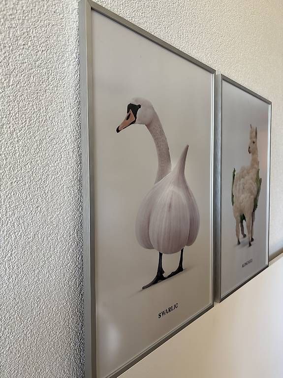 Foto & Immagini: 2 Bilder 40x60cm mit Rahmen – Usato da Detligen venduto da lor_gw8v 1