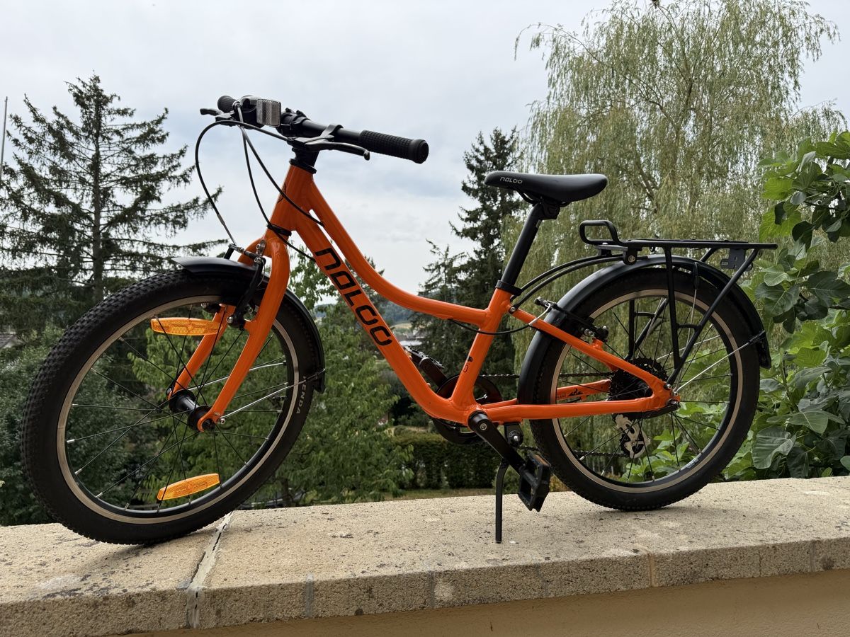 Naloo Biciclette: Naloo Chameleon 20 – Usato da Sissach venduto da Ikisha 1