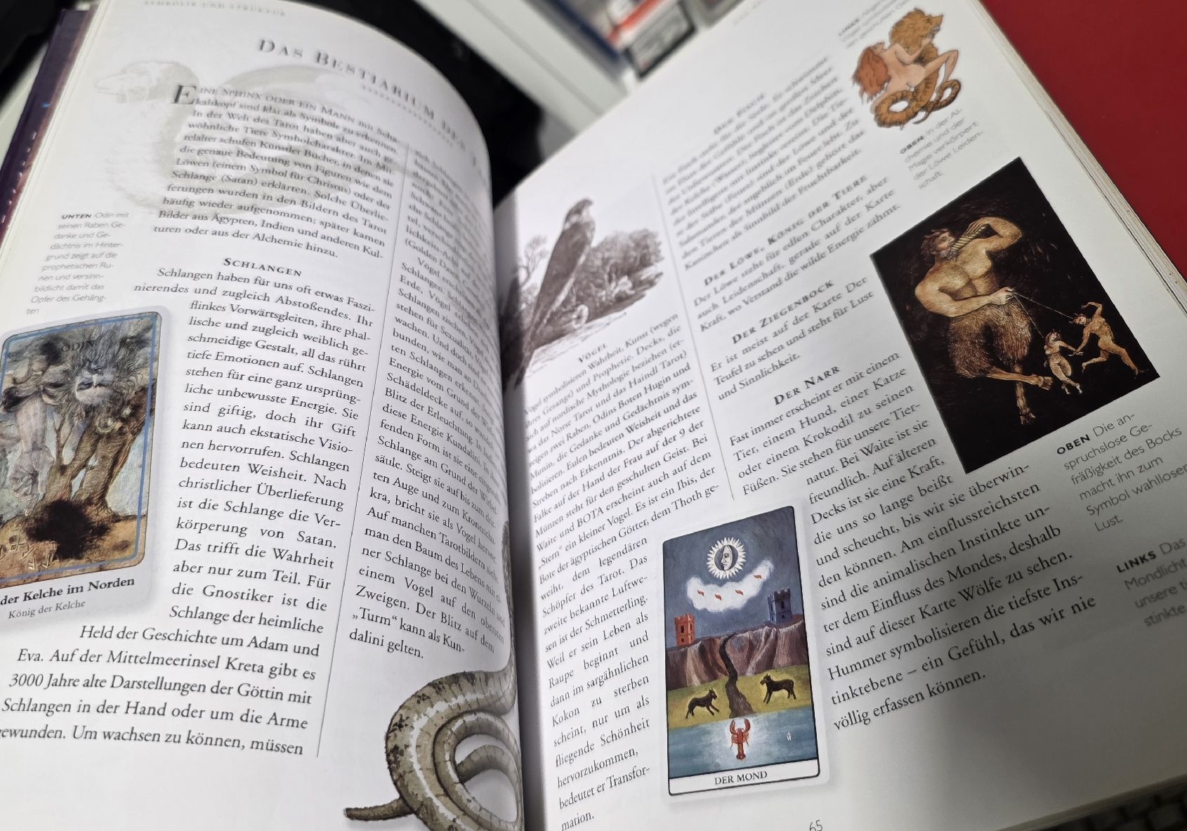 Libri: Tarot Buch + Tarot Karten – Usato da Reinach BL venduto da _MasterK_ 6