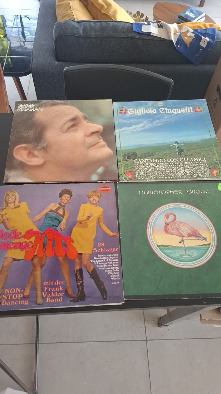 Dischi in vinile: LP • LP Sammlung • 18 LP's – Usato da Ottenbach venduto da Rasenmaeeher 2
