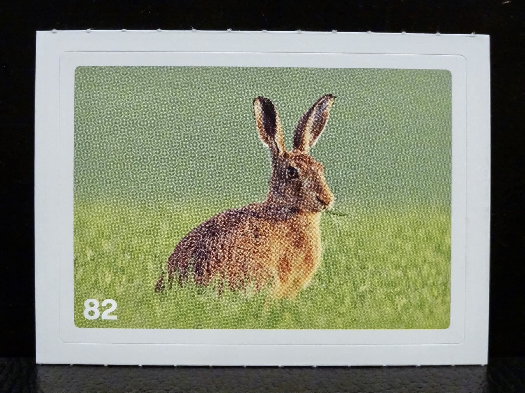 Migros Carte collezionabili: MIGROS MANIA Nature Detectives Nr. 82 – Usato da Kerzers venduto da zimmergruen