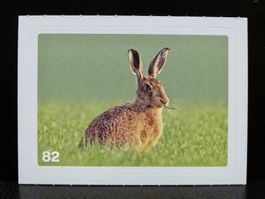 MIGROS MANIA Nature Detectives Nr. 82