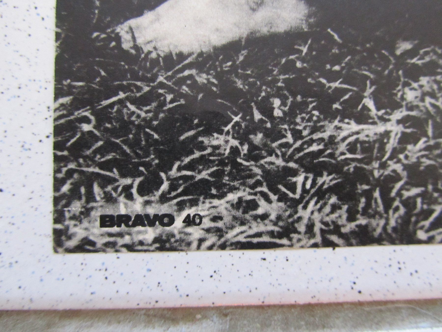 Poster & Bilder: David Cassidy, Poster, 1970er Jahre Bravo – Gebraucht aus Weiningen ZH von dietsch57 4