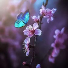 Profile image of Purple-Love