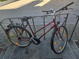 Gepflegtes Cresta City-Bike, ideal für den Herbst!