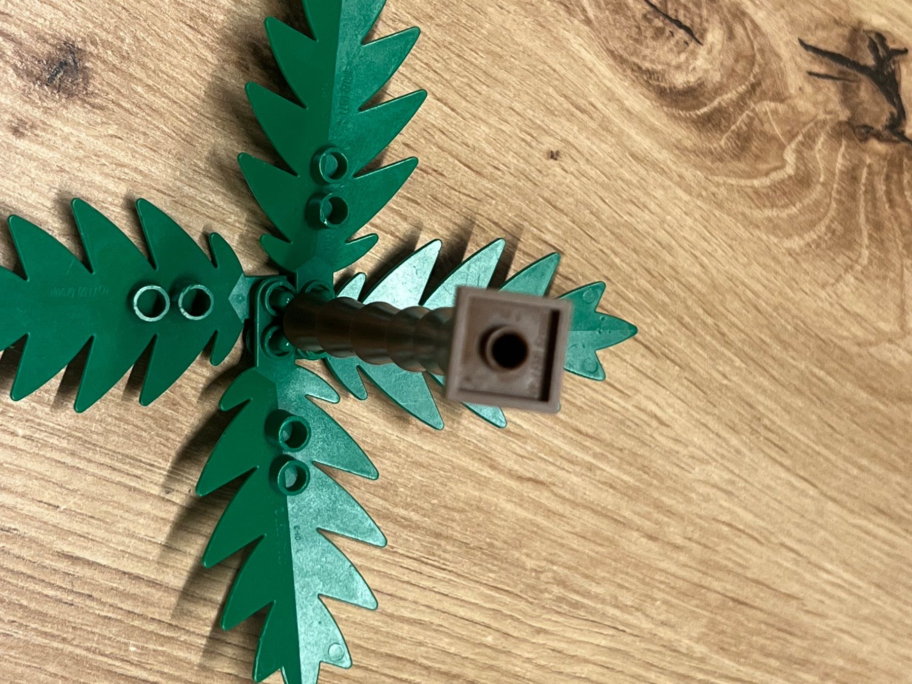 Lego Jouets: Lego Palme – D'occasion à Steffisburg par Mamschi 1