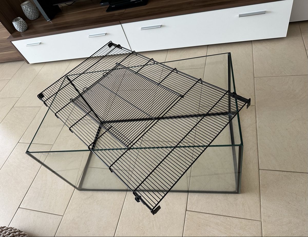 Terrario: Kleintier Terrarium  – Usato da Bülach venduto da angelo0577