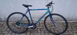 Cityflizzer ALLEGRO frisch ab Service