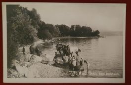 Zürich 1927 - beim Zürichhorn, belebt mit Pferden
