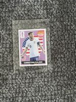 Extra stickers - Pulisic violet 