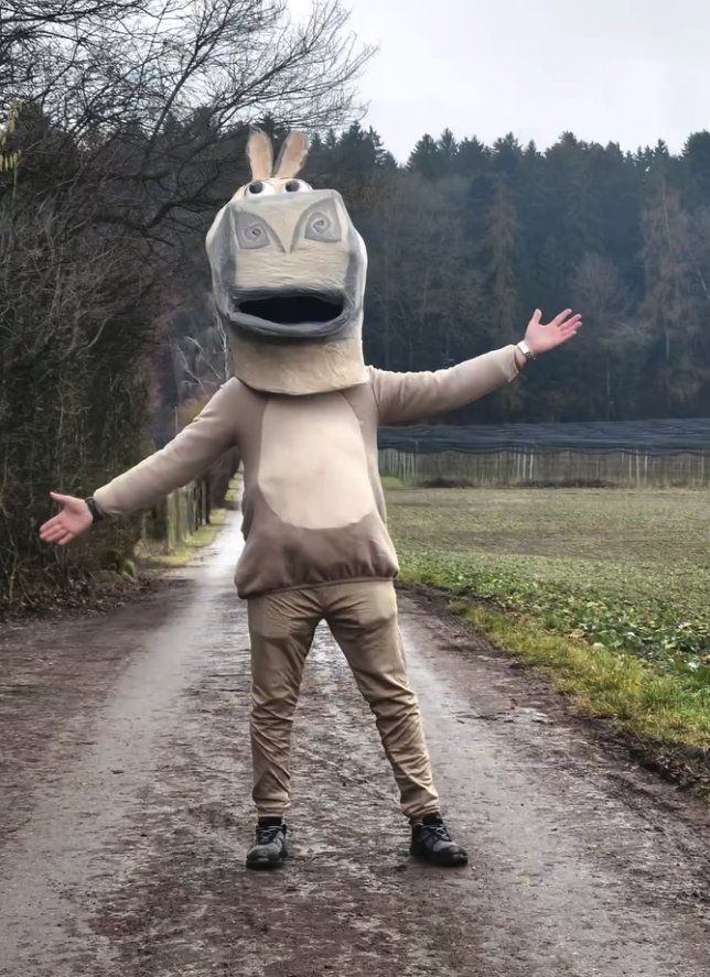 Costumes: Gloria aus Madagascar – D'occasion à Gerlafingen par Remo96