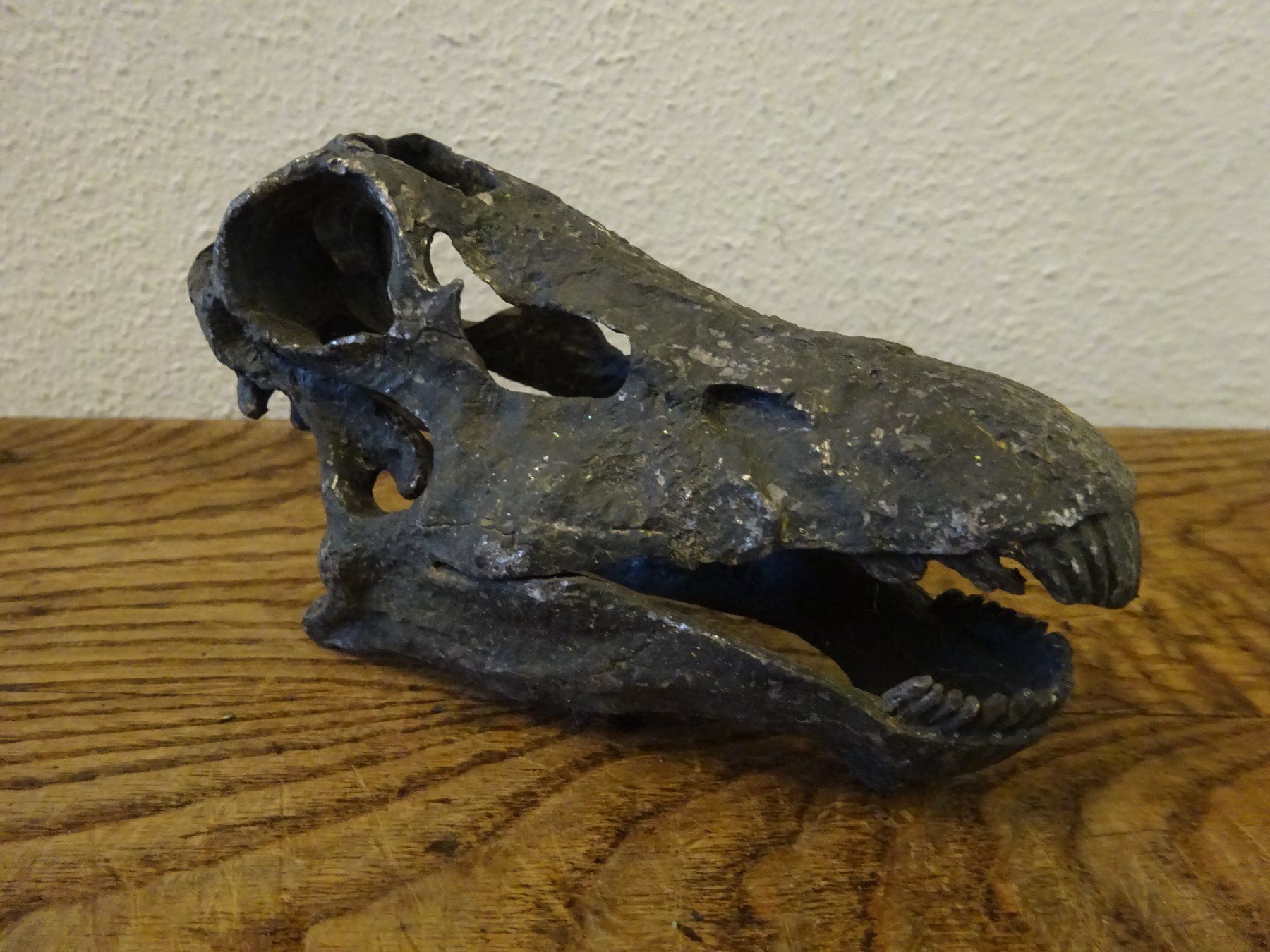 Fossili: Schädel Saurier – Usato da Esslingen venduto da eintagammeer 1