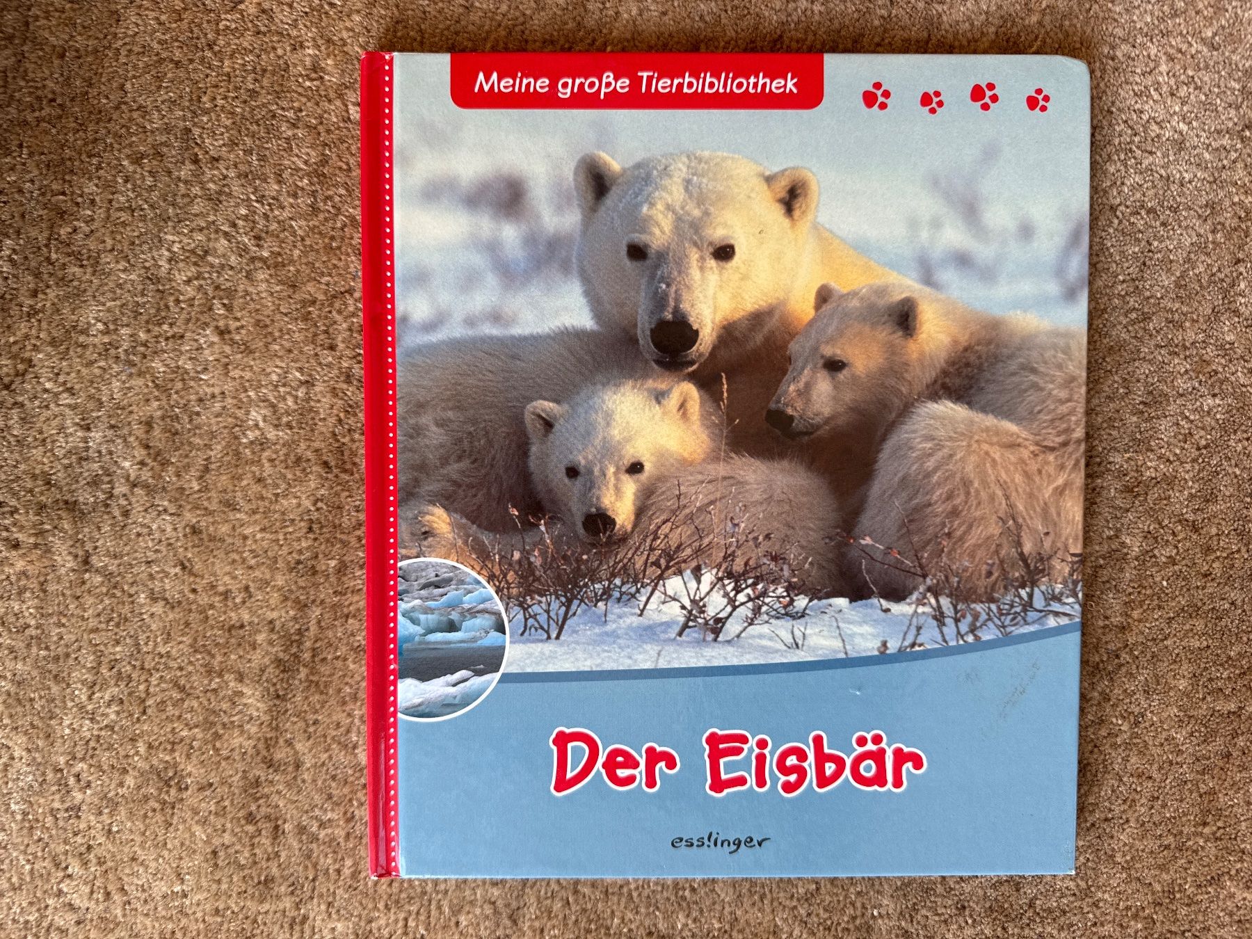 Libri: Der Eisbär - Meine grosse Tierbibliothek - esslinger – Usato da Aarau venduto da Kilauea