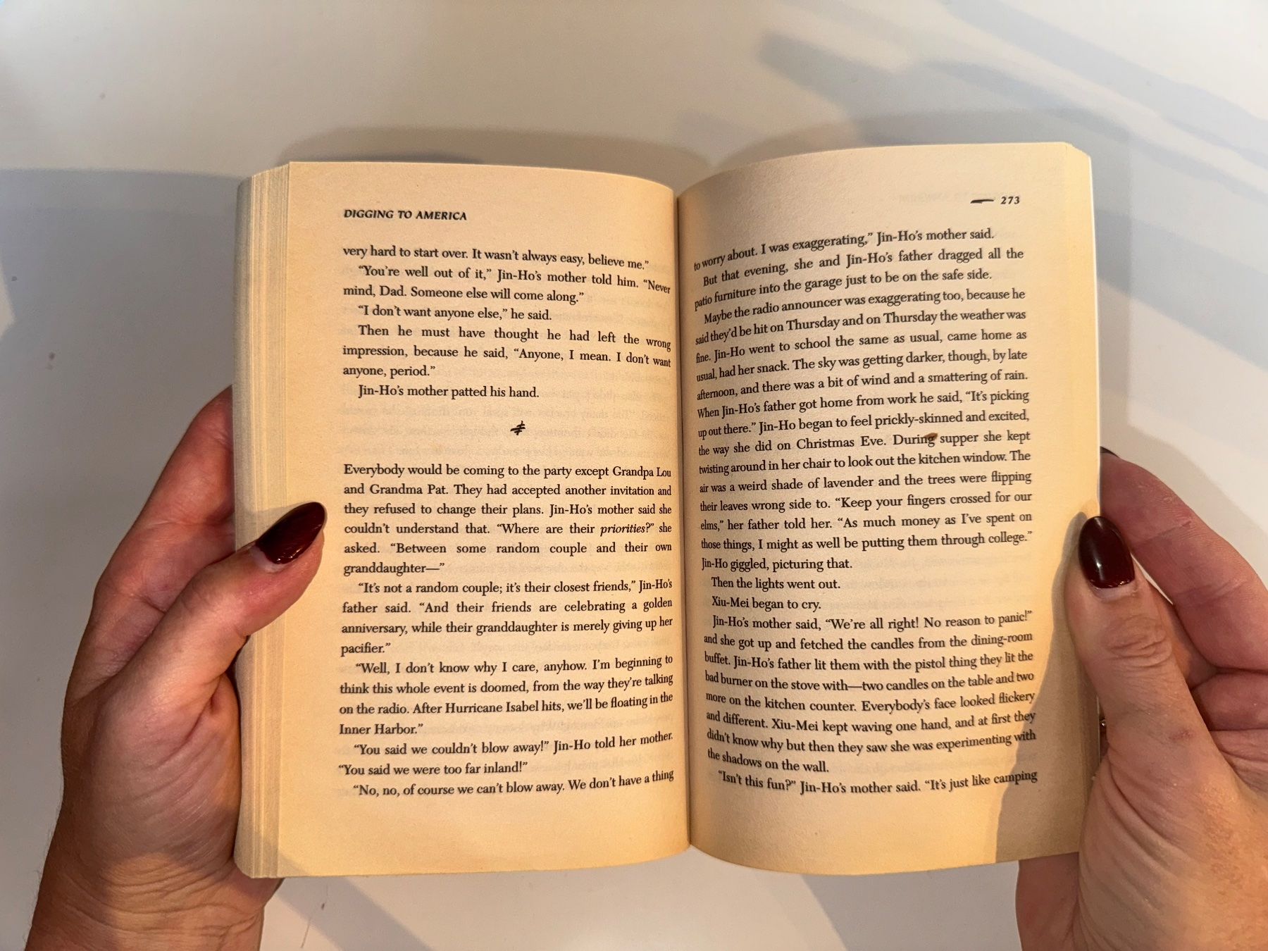 Bücher: NOVEL: Ann Tyler, Digging to America – Gebraucht aus Grosswangen von English_books 8