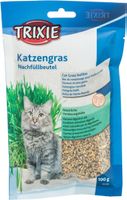💥Katzengras zum Selbstziehen