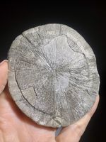 Pyritsonne 8.2 cm 163 g | Natürliche Mineral Sun USA (repari