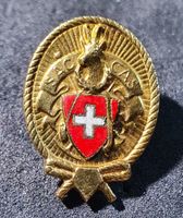Y483 - Brosche / Pin SAC CAS Schweizer Alpen Club Abzeichen