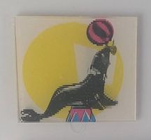 Dandy Vari-Vue: Seehund mit Ball
