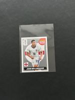 Panini Extra Sticker Bellingham Silber, Bronze und lila