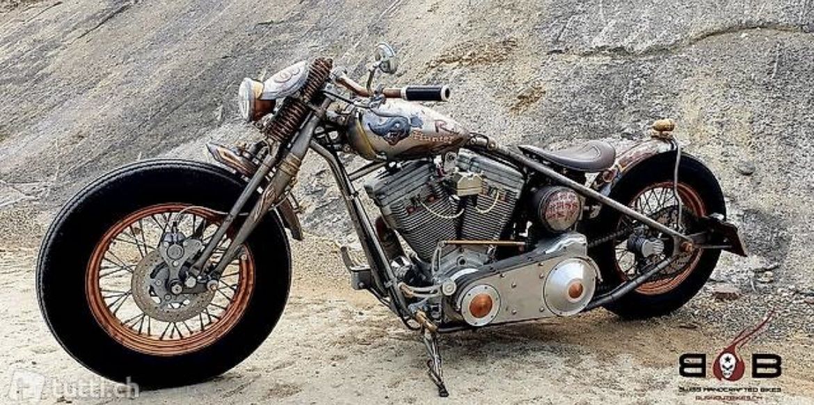 Harley-Davidson Altro: HARLEY DAVIDSON TGS MOTORCYCLES – Usato da Sirnach venduto da B.O.B.BIKES 8