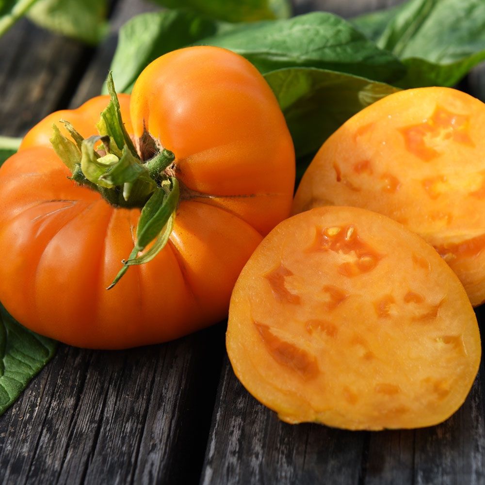 Piante & sementi: 20 Samen BRANDYWINE YELLOW Tomate – Nuovo (secondo la descrizione) da Ehrendingen venduto da VerveinaSamen 5