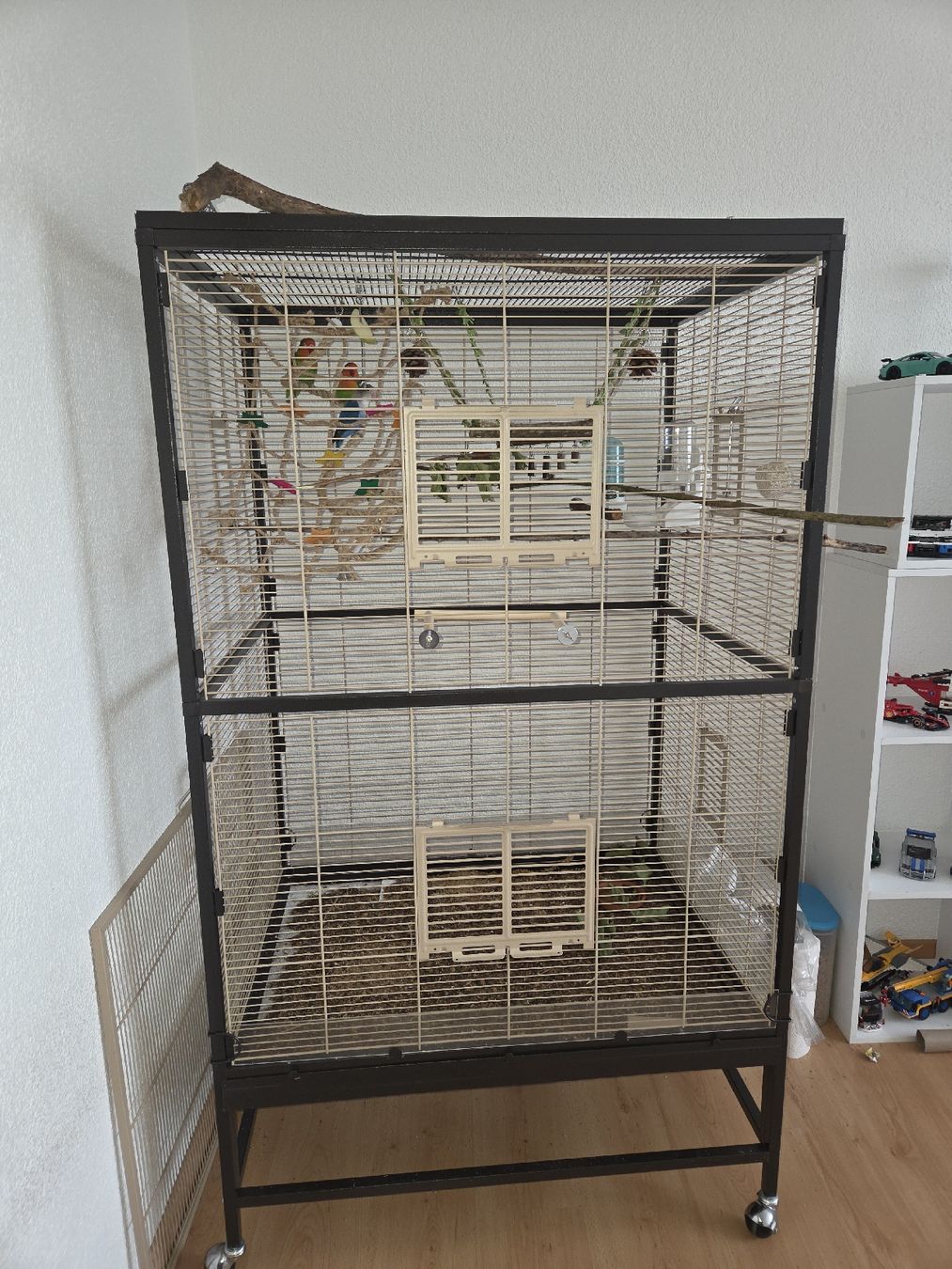 Cages, transport & sécurité: vogelvoliere – Neuf (Voir description) à Oensingen par kruemel82