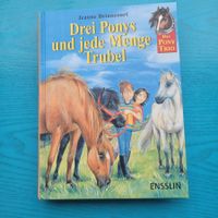Drei Ponys und jede Menge Trubel- 3 Geschichten