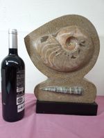 Fossilien, Ammonit und Belemnit ab 5 Stutz