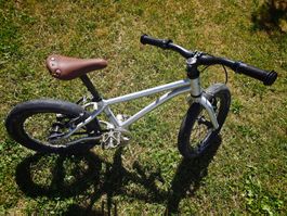 early rider belter 16