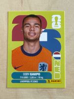 Panini WM 2026 - NED 20
