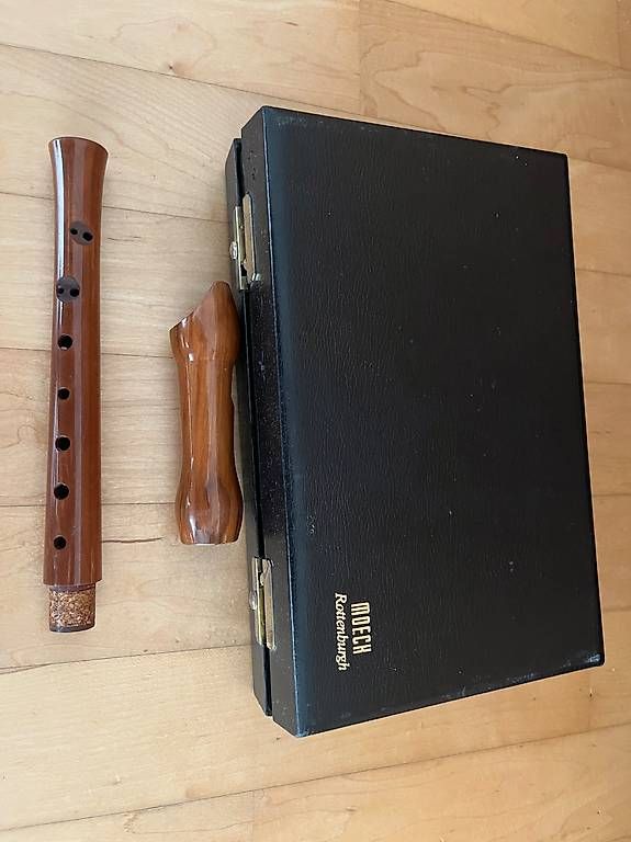 Instruments de musique: Zwei Blockflöten  – D'occasion à Allschwil par Manolictus 4