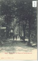 Restauration am Wege zur Tamina-Schlucht - animee