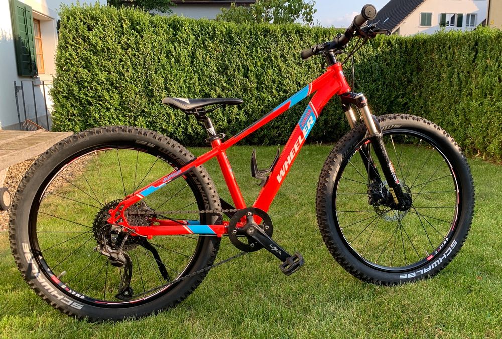 mountainbike junior 24